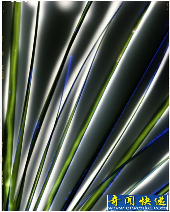 8ѹֲʲôӣ