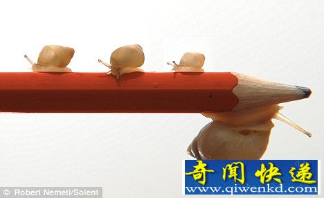 ţӲұԵ ڱΣ״̬(ͼ)