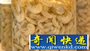 相比之下,其它海域发现的片脚类一般仅有2~3厘米长 新西兰深海陷阱捕获巨型甲壳类动物(图)