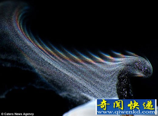 Ӱʦ΢ʵϨ˲λòʺ硱