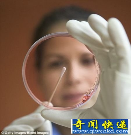 生物科技:科学家们正接近成功地将实验室试管肉类投放商业市场的最终目标 科学家称实验室合成肉类将变现实(图)