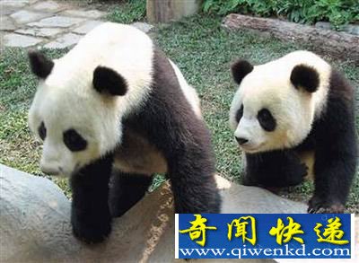 (ͼ)ȻʮصĽ䷽ʽ