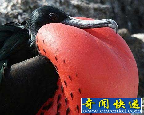 (ͼ)Ȼ9֡󡱶