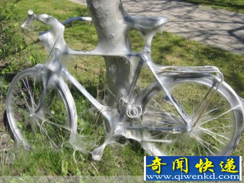 毛毛虫惊人的破坏力