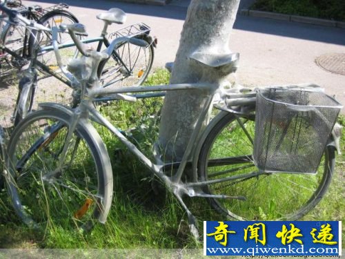 毛毛虫惊人的破坏力