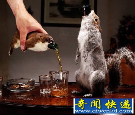 全球最怪异的十款酒精饮料,你敢喝么