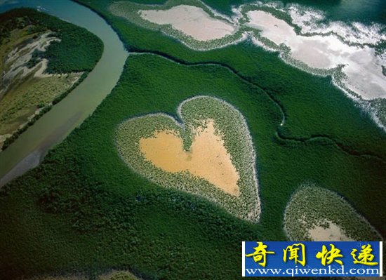 飺ӿи