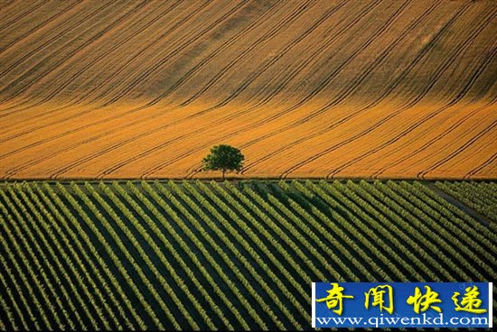 飺ӿи