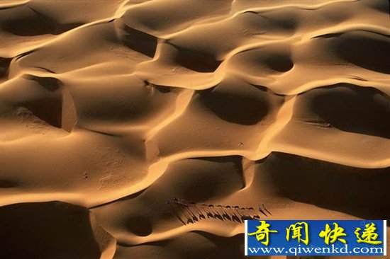 飺ӿи