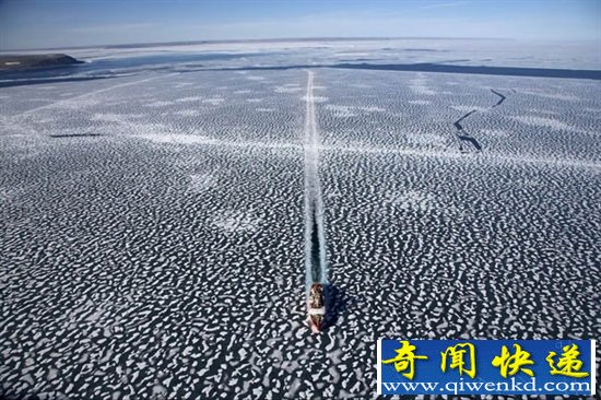 飺ӿи