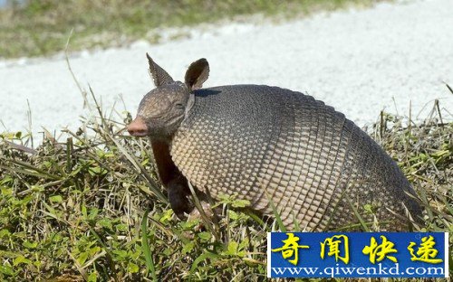ѧҷ粡״δȾ 