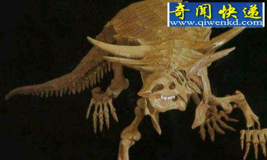 но޽ȫӲƬʷǰ