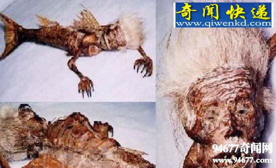南海鲛人真实存在,并在中国留下后裔(客死山东)