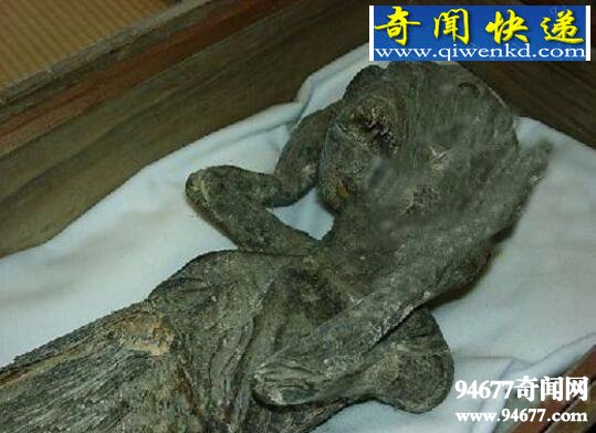 南海鲛人真实存在,并在中国留下后裔(客死山东)