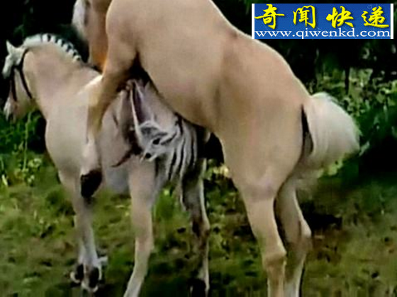 ｻͼΪȫֱ