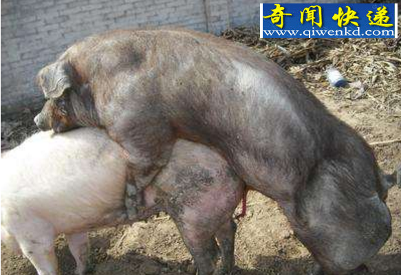 ｻͼΪȫֱ