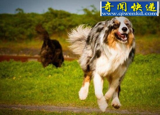 ǰʮ񵥣ѣ