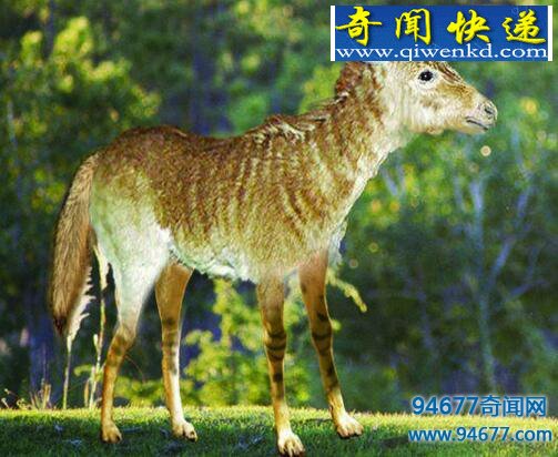 ũܹ¿ͷǣ¿ͷʷǰ