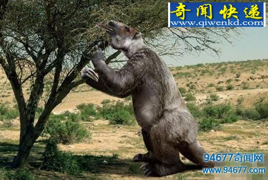 草原大地懒,鬼吹灯中的怪物竟真实存在