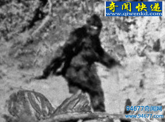 Ұص鳤3ף
