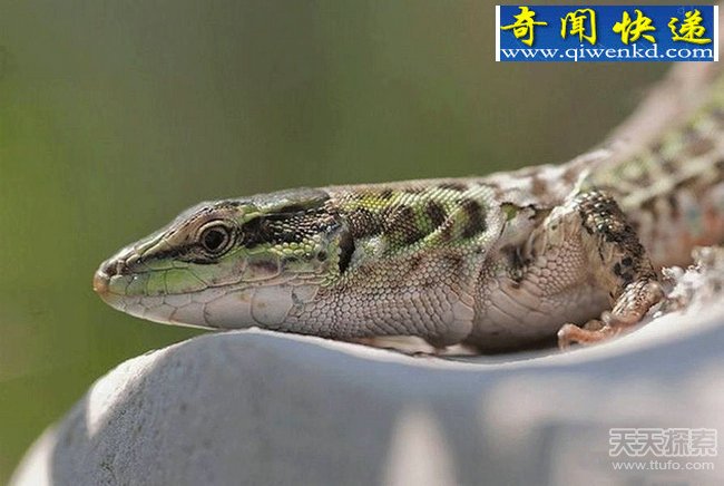 ̵㵱ٶİ