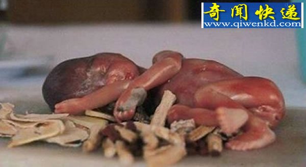 外星魔婴、俄罗斯猪人、巴西狗嘴男、缅甸恶媳人变狗真相揭秘