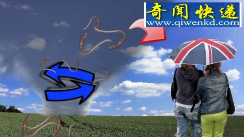 콵ꡱ꣬꣬꣬ 