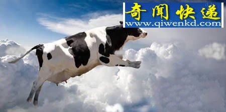 콵ꡱ꣬꣬꣬ 