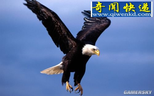 뺷ʮ   ӥӡ
