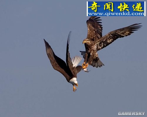 뺷ʮ   ӥӡ