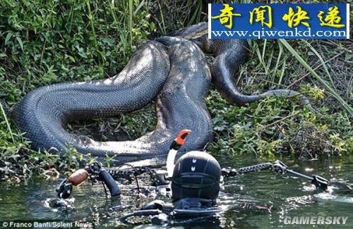 뺷ʮ   ӥӡ