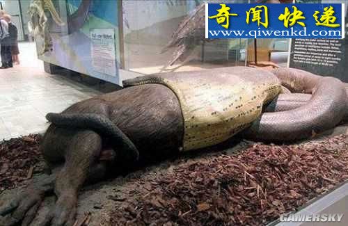 뺷ʮ   ӥӡ