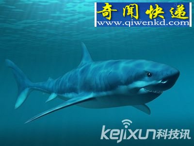 10ֶеĳ칦