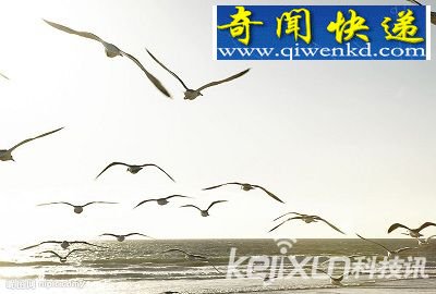 10ֶеĳ칦