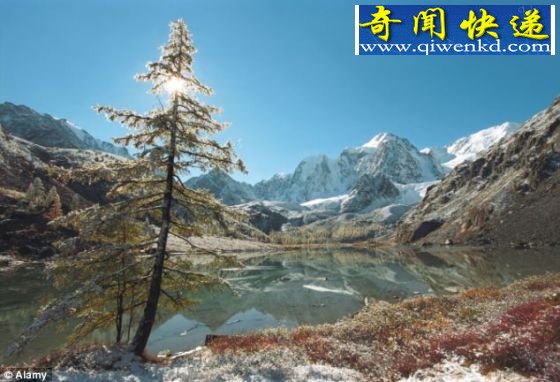 西伯利亚发现具有感染性史前超大病毒