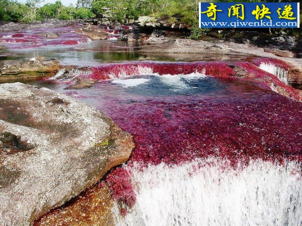 探访地球最美河流(图)