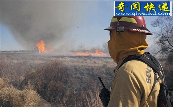磺