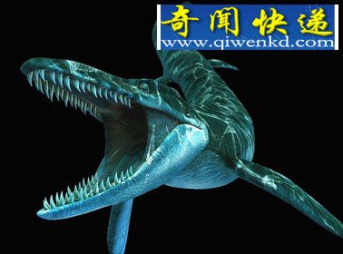 ̵͵ʷǰޣϬţӵмƻ