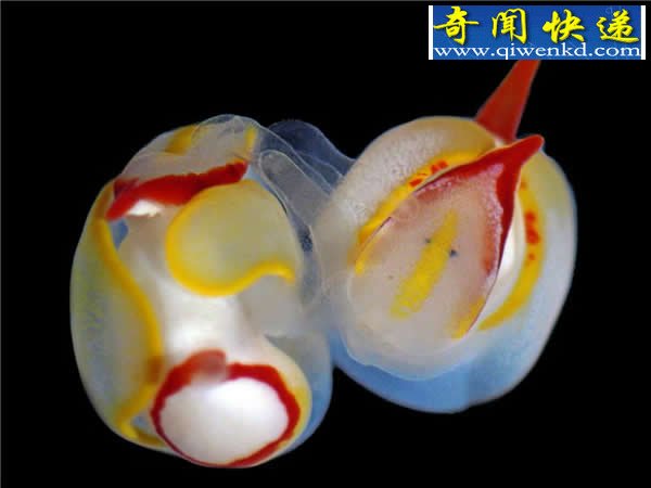 Ľ䷽ʽ