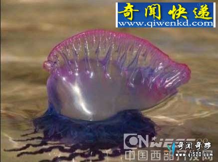 ɫ綾ȫ͸·