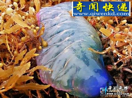ɫ綾ȫ͸·