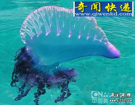 ɫ綾ȫ͸·
