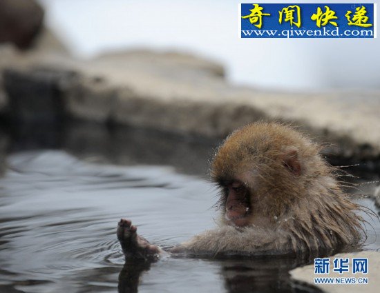 ̵㶯ı