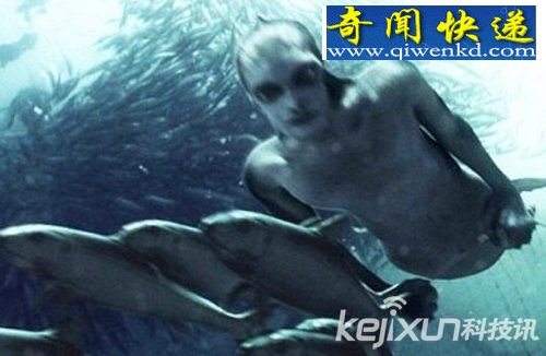 海猿或为传说中的美人鱼