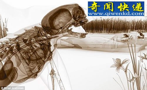 붯ӽ