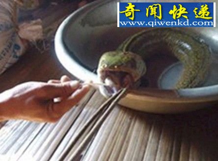 ԽӲһͷ೤죢㣢 (ͼ) 