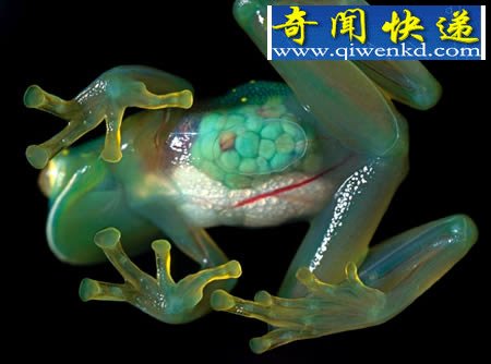 溱͸