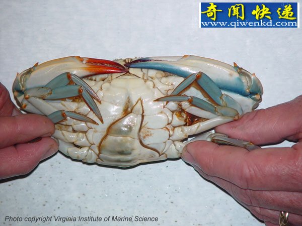 ۹嶯۹Ȼ
