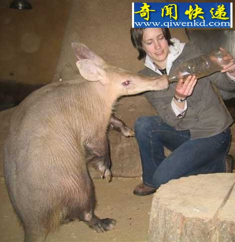 ʮʳྪ˵ĳª