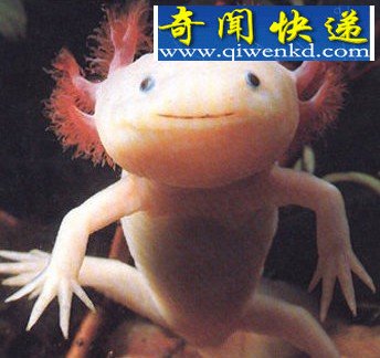 Ȼ뺷Կ(ͼ) 